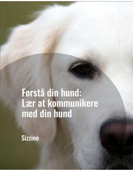 Forstå din hund: Lær at kommunikere med din hund