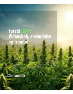 Forstå CBD: Videnskab, anvendelse og fremtid