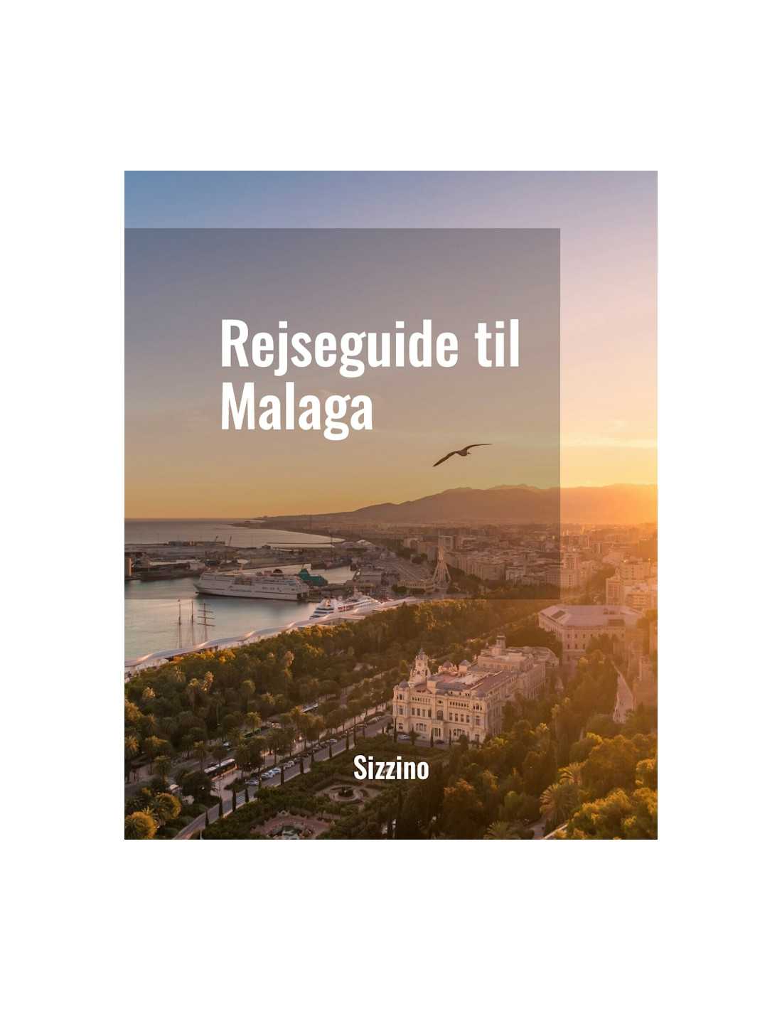 Rejseguide Til Malaga