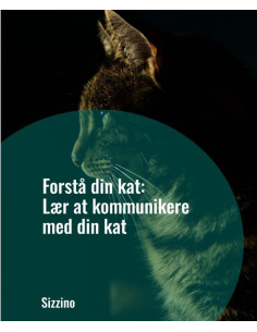 Forstå din kat: Lær at kommunikere med din kat
