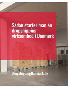 Sådan starter man en dropshipping virksomhed i Danmark...