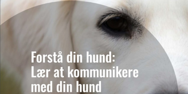 Ny lydbog og e-bog om hundekommunikation: Lær at forstå din hund