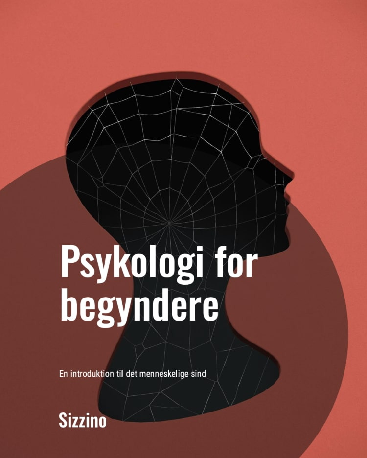 Ny lydbog og e-bog: Psykologi for begyndere